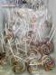 Ind�stria para fabricar pirulito colorido chupetinha tweeps balas del�cia