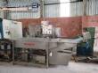 Lavadora cont�nua em inox de hortali�as duplo est�gio Incalfer