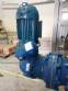 Linha automtica para talharim 300kg/h Dominioni
