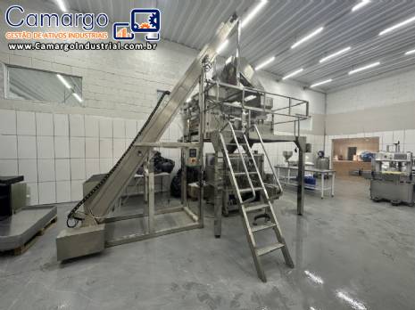 Embaladora envasadora multi cabea multicabeote corrugada para produtos slidos congelados em potes